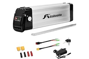 Adaluolo 36V Ebike Batteria, 36V 15AH Argento Batteria bici Elettrica agli ioni di litio Pedelec Batteria Rimovibile Bicicletta Batteria di Ricambio 2 Pin con Caricabatterie per 250W 350W 500W Motore