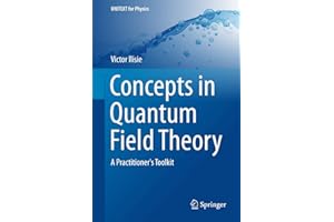 Concepts in Quantum Field Theory: A Practitioner's Toolkit