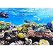 Produktbild Vlies Fototapete 300x210 cm PREMIUM PLUS Wand Foto Tapete Wand Bild Vliestapete - UNDERWATER REEF - Aquarium Korallen Unterwasser Meer Fische Riff Korallenriff - no. 105