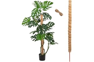 Bieiyhe Tutor Plantas 120 cm,Tutor De Musgo con 2 m Cuerda de Yute,Tutores para Plantas Trepadoras,Soporte para Plantas de Tótem,Varilla de Coco para Plantas,Palo de Musgo para Plantas,Moss Pole