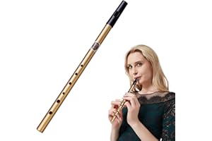 NUQIN Authentic Penny Whistle, Six-Hole D Tin Whistle - Perfect for Traditional Celtic Music - Black