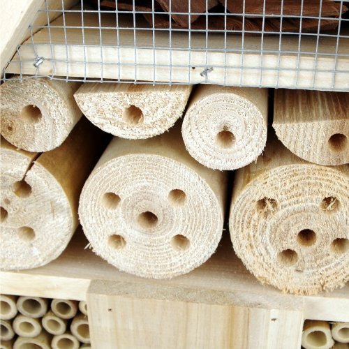 Insektenhotel Hotel für Insekten XL Bienen Haus Nist Brut Kasten - 3