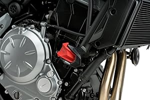 Puig Recambios Protector de Motor R19