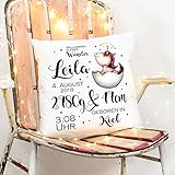 Die Lieferzeit beträgt 1-2 Werktage nach Zahlungseingang