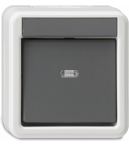 Gira Steckdose Mit Klappdeckel & Schloss – Verschließbar, SCHUKO, 16 A, 250 V, Grau, Aufputz – Ideal Für Kinderzimmer & Sichere Räume