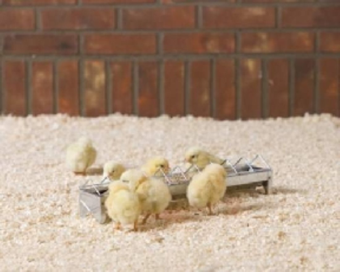 Savic Daisy Zinc Plated Chick Feeder 38 X 7,2 X 7,5 Cm