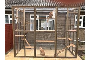 4WIRE 4 Wire Catio/Cat Lean to 8ft x 6ft x 7.5ft tall with ladders and shelves secure run 1" x 1"