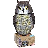 Defenders Wind-Action Owl, (Life-like Decoy Deterrent, Scares Birds From Gardens)