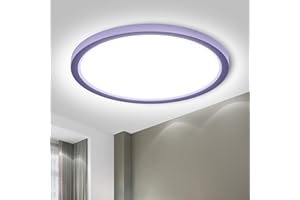 LQWELL® LED Ceiling Light, IP44 Waterproof Bathroom Lamp Round Flat 18W 6000K 1600LM Modern Simple Thin for Living Room Bedroom Kitchen, 220 * 24mm (Purple)