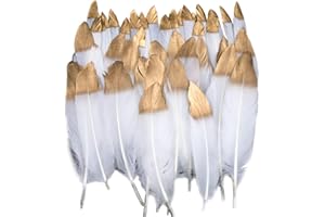 VIDILLO Piume colorate, 40 pezzi in oro bianco temperato piuma decorativa, ideale per costumi, cappelli, decorazione per la casa, festa di matrimonio, compleanno, multicolore