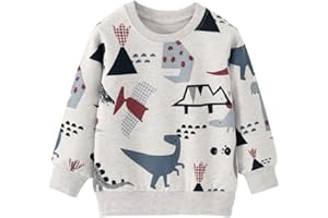 EULLA Boys Dinosaur Jumper Digger Sweatshirt Cotton Long Sleeve T-Shirt Crew-Neck Pullover Clothes Kids Tops Age 1-7 Years