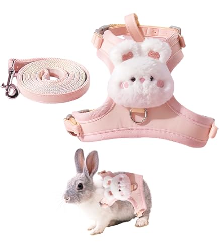 Arnu00e9s De Conejo, Correa Para Ropa De Conejo Y Arnu00e9s Para