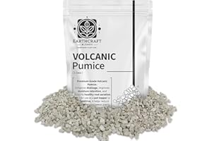 INVIGORTEX Volcanic Pumice for Plants – Natural Plant Pot Topper to Stop Fungus Gnats, Improve Drainage & Decorate Soil – Ideal for Cacti, Succulents, Bonsai & Houseplants (1 Litre Resealable Bag)