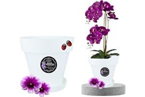 LiveLaif® - ∅ 11 cm Maceta Orquidea Traslúdida + Plato Maceta | Maceta Orquidea Transparente | Maceta Plastico | Macetas para Orquídeas Transparente | Macetero Orquidea (1, S-11 cm)