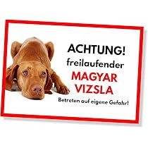 Warnschild „Achtung Freilaufender Pinscher“, 20x14 Cm Aus Aluverbund – Wetterfest, Für Gartenzaun & Tür