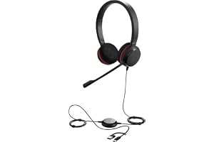 Jabra Evolve 20 MS Stereo USB-C/A Wired Headset with Noise-Cancelling Microphone | MS Teams Certified | Professional On-Ear Business Headphones for PC & Laptop | Plug & Play | Office & Call Center