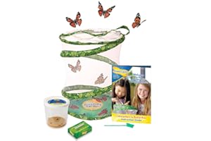 Insect Lore Butterfly Garden with a Cup of 3-5 Live Baby Caterpillars and Food