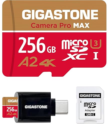 Scheda SD 512GB Grande Capacità Alta Velocità Scheda di Memoria Immagine Micro SD Card Mini Portatile Memory Card per Smartphone, Drone, Fotocamera