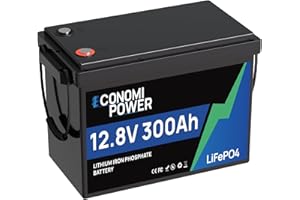 EconomiPower Lifepo4 300 Ah 12 V Battery, 3840 Wh Energy Lithium Battery Built-in in 200 A BMS, Max 15000 Cycle Times and 10 Year Service Life, Ideal for Solar System, Motorhome, Power Storage,