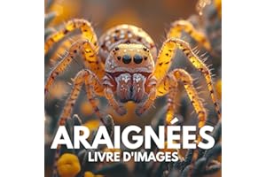 Livre d'images sur les araignées: 100 photographies étonnantes pour explorer l’univers mystérieux des araignées.