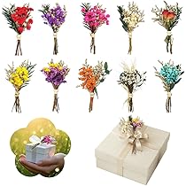 Mini boeketten | Klein, Stijlvol & Gezellig | Klein boeketje droogbloemen - Etsy Nederland Droogbloemen Decoratie Krabbendam Kadoverpakking Boeket droogbloemen Mini – Tuinkabouter Chrisje 10 stuks boeket droogbloemen klein, knutsel