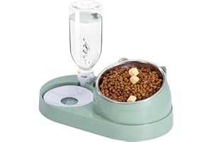 ZLLKEJI Comedero para gatos con botella de agua automática 2 en 1, cuenco elevado de acero inoxidable, antivómito, para gatos pequeños, medianos y perros, color verde