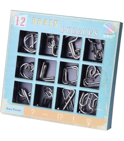 Brain Teasers Metal Puzzle Toys Set of 18, for Kids and Adults IQ