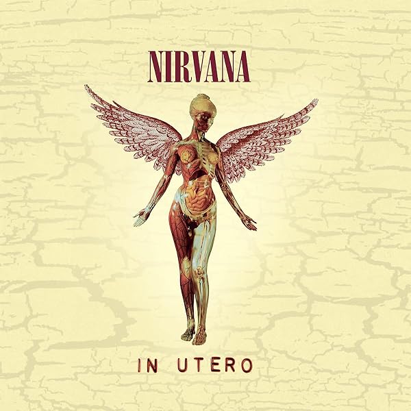 Nevermind 30th Anniversary Super Deluxe Edition : Nirvana: Amazon