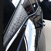 Graficar Design Peugeot 408 ile Uyumlu Kelebek Cam Sticker Set Aslan, Logolu T&uuml;m Model Yılları ile Uyumlu