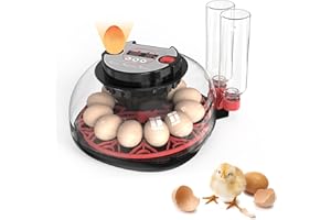 HOCOMAY 12 Egg Incubator for Hatching Eggs, Incubator with Temperature and Humidity Display, Egg Automatic Turning, Water Auto Replenishment, Air Vent Chicken Incubator for Hatching Chicken Duck Quail Bird