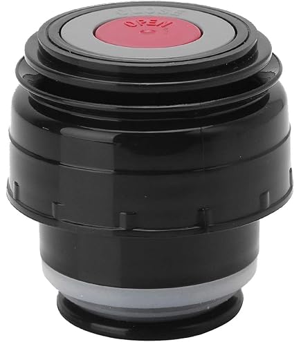 BOGI Bouteille D'eau Isotherme à Double Paroi En Acier Inoxydable Avec