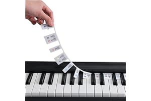 DHSWNNG Abnehmbare Klaviertastatur, Klavier Noten Aufkleber 88 tasten Silikon Klavier Keyboard Aufkleber Kinder Wiederverwendbare Piano Lernen Klaviertasten Aufkleber für Anfänger (Bunte)