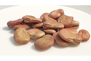 LE GRENIER D'ABONDANCE LES GRAINES QUI DONNENT ENVIE FEVE D'AGUADULCE à très longue cosse - Vicia faba - 75 grammes