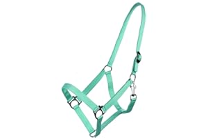 ARBO-INOX® Halfter mit Schiebeschnalle Stallhalfter Basic (Mini Shetty, türkis)