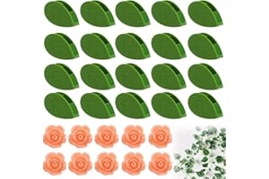 QOWIJEX 30 Pezzi Clip per Piante Autoadesiva Plant Supports Accessorio,Rampicanti Clip per Piante,Clips Invisibili per Piante Rampicanti,Rampicanti Piante Fissaggio per Giardinaggio Verdure