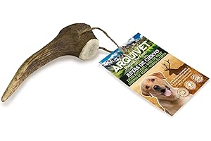 Arquivet Asta de ciervo - Mordedor ecologico perros - Cuerno de ciervo para perros - Masticador natural perros - Asta de ciervo caída natural - M (40-75 g)