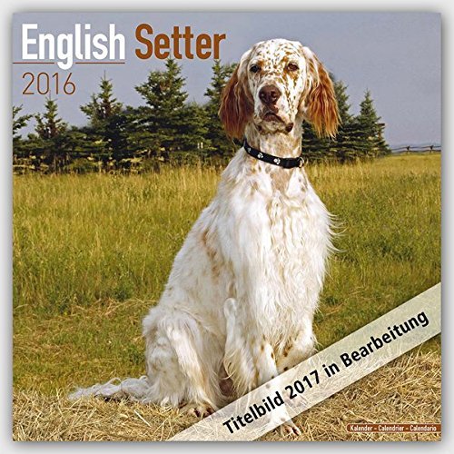editions english setters