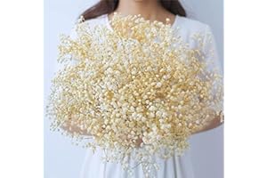 ‎ONING Oning Schleierkraut getrocknet,Natürlich Gypsophila Trockenblumen, über 2000 Blütenknospe Echt Trockenblumenstrauß für Hochzeit Brautsträuße Vasen Pampasgras Deko ( ca. 43 cm )