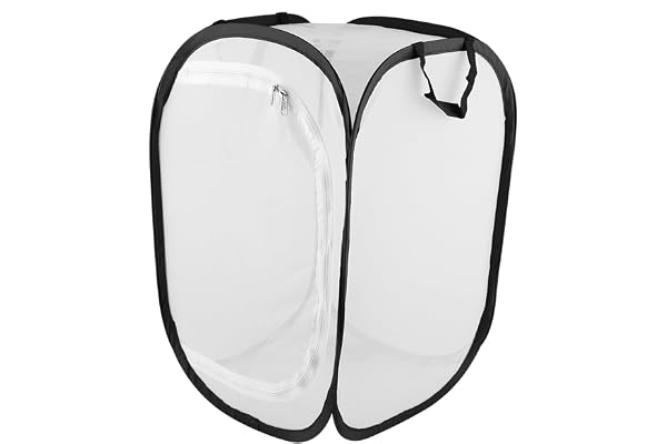 Cage à Papillons en Acier Inoxydable Haute Qualité Empilable pour Habitat d'Insecte Éducatif Facile à Utiliser Réutilisable pour Enfants et Étudiants