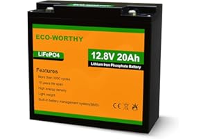ECO-WORTHY 12V 20AH Batteria al litio ricaricabile 3000 volte con protezione BMS, batteria LiFePO4 al litio ferro fosfato per quad/fish finder/accumulo di energia solare/motore da traina