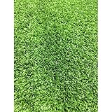 cesped artificial Rollo Césped Artificial Moqueta 7mm . 2x25m