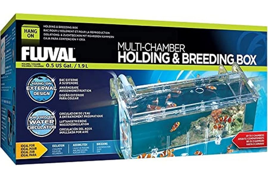 FL Hang on Holding and Breeding box, L