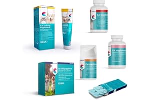 NUTRICAREVET SUPL. INMUNE LYSINA FELINO Gel 50ML COVETRUS
