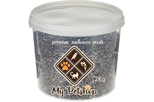 MyPetShop® Bird Feeding Sunflower Seeds - 2 Kg Bucket | Protein-Rich Nutrition for Healthy Birds