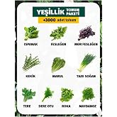 10 &Ccedil;eşit Yeşillik Tohum Paketi 3000 Tohum