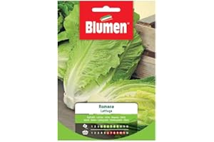 SEMI LATTUGA ROMANA BLUMEN SEMENTI ORTO