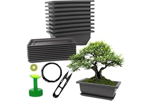Cultivea® - Zestaw 10 doniczek Bonsai z podstawką - Kompletny zestaw do uprawy i pielęgnacji: plastikowe doniczki z drutem Bonsai, sekatorami, korkiem konewki i wbudowanym drenażem