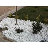 Ekodoğa Beyaz Dolomit Taş 20 Kg 4-6 Cm Bah&ccedil;e S&uuml;s Taşı Dekoratif Taş Dere Taşı Loche