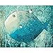 Produktbild Blauer Fisch DIY Digital Malen Nach Zahlen Mit Abstrakten Kits 40X50 Coloring Paint by Numbers Für Kinder Geschenk, 40Cmx50Cm Kein Gestaltet