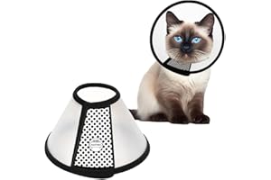 AFCJLTO 1pcs Cône Collerette en Plastique Protecteur de Cou Réglable,Anti-Morsure Protection Cône Collerettes convient aux chats de petite et moyenne taille pesant entre 3 et 5 kg(22-26cm)